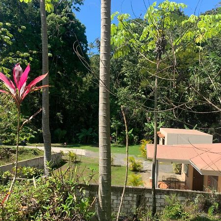 Alma Del Bosque Vacation Home And Apartments Quepos Exterior photo